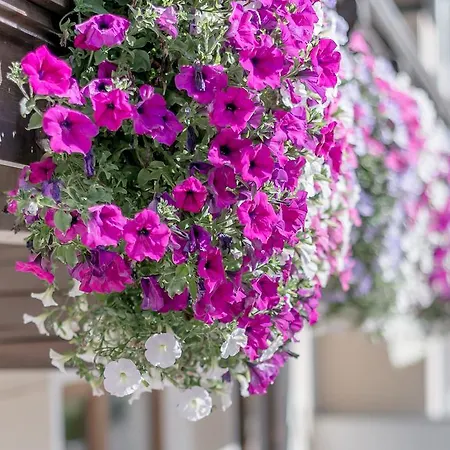 索恩泽特度假屋 索尔登